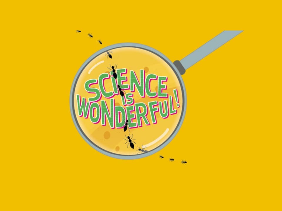 PARTICIPATION AT SCIENCE IS WONDERFUL ONLINE FAIR